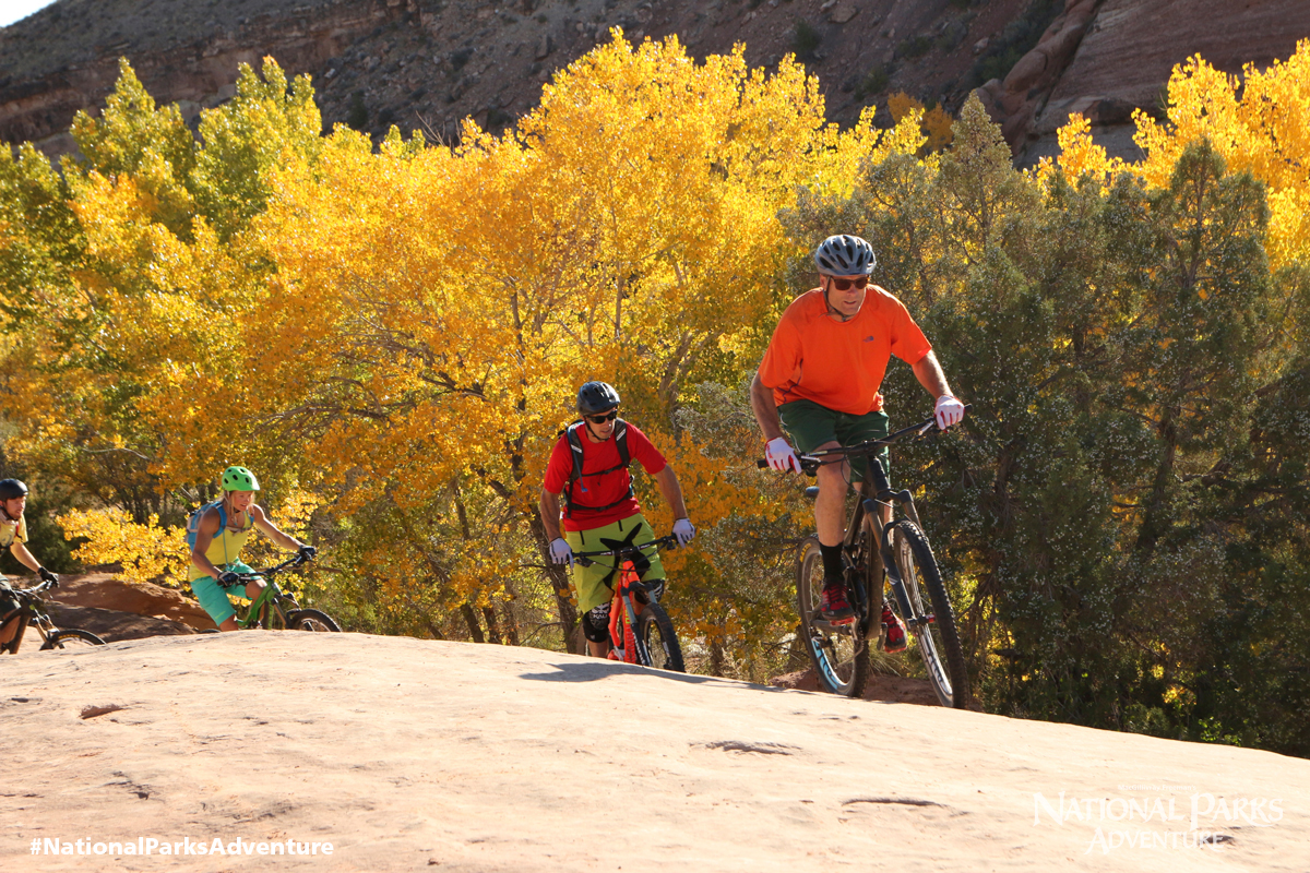 mountain biking in national parks