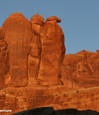 Three Penguins in Arches National Park